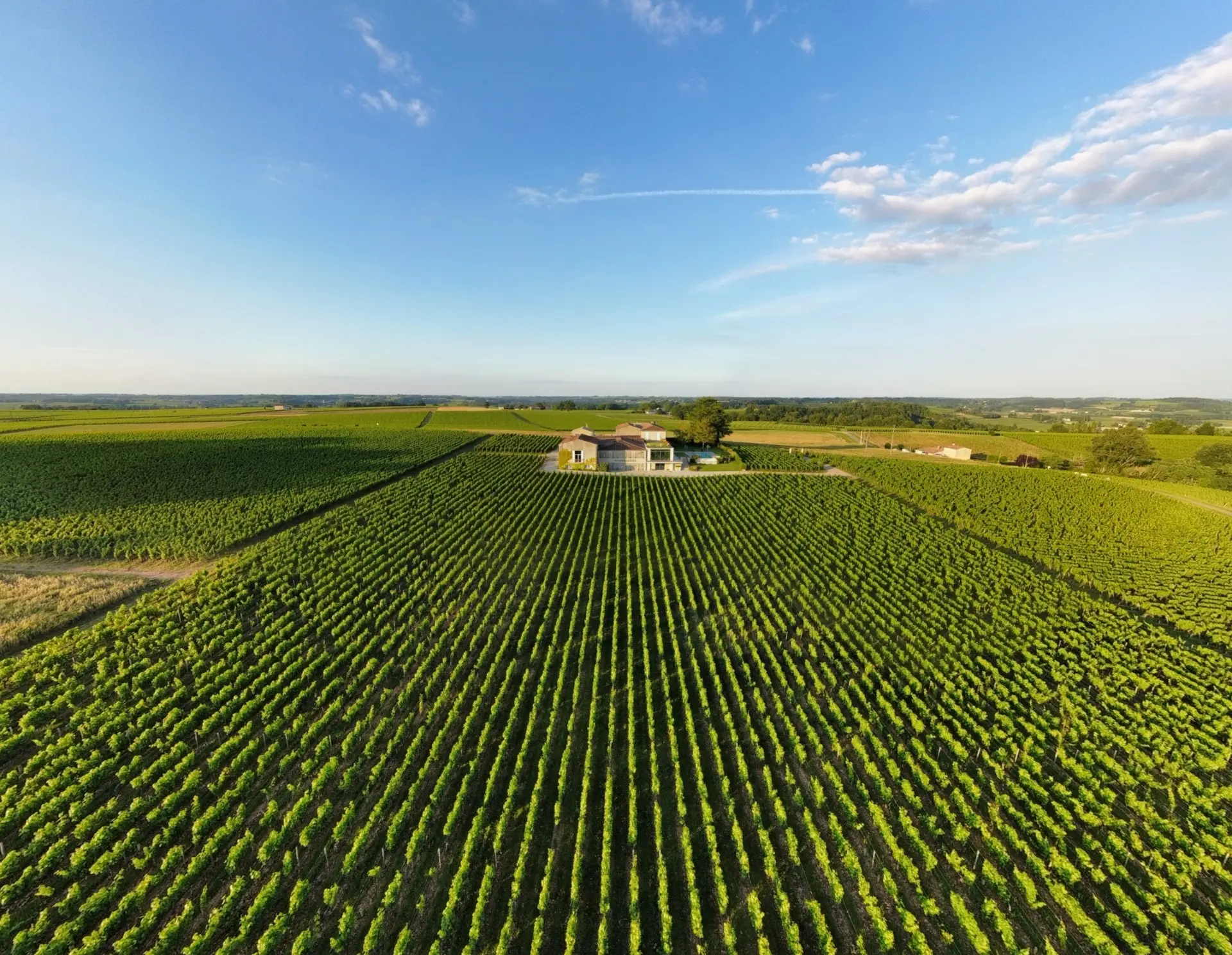 Château Destieux, Saint-Emilion Grand Cru Classé - Winalist