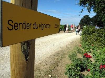 Le Sentier du Vigneron - Winalist