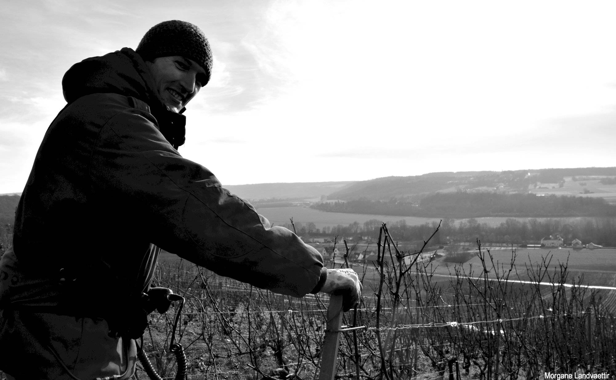 Champagne Pierre Laurent - Winalist