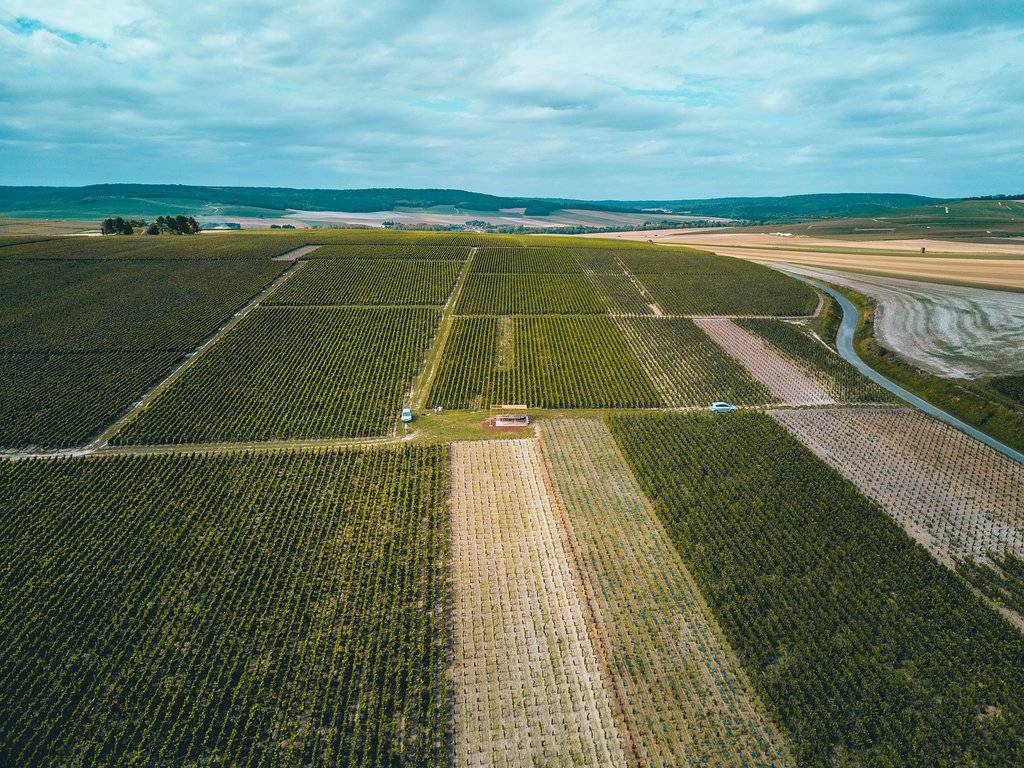 Champagne Lamiable - Winalist