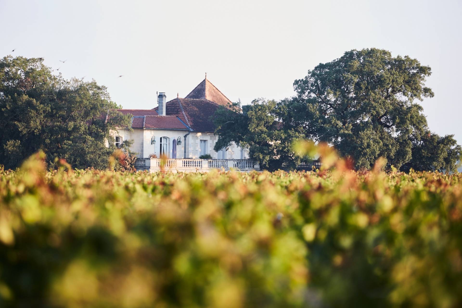 Château Chêne Liège - Winalist