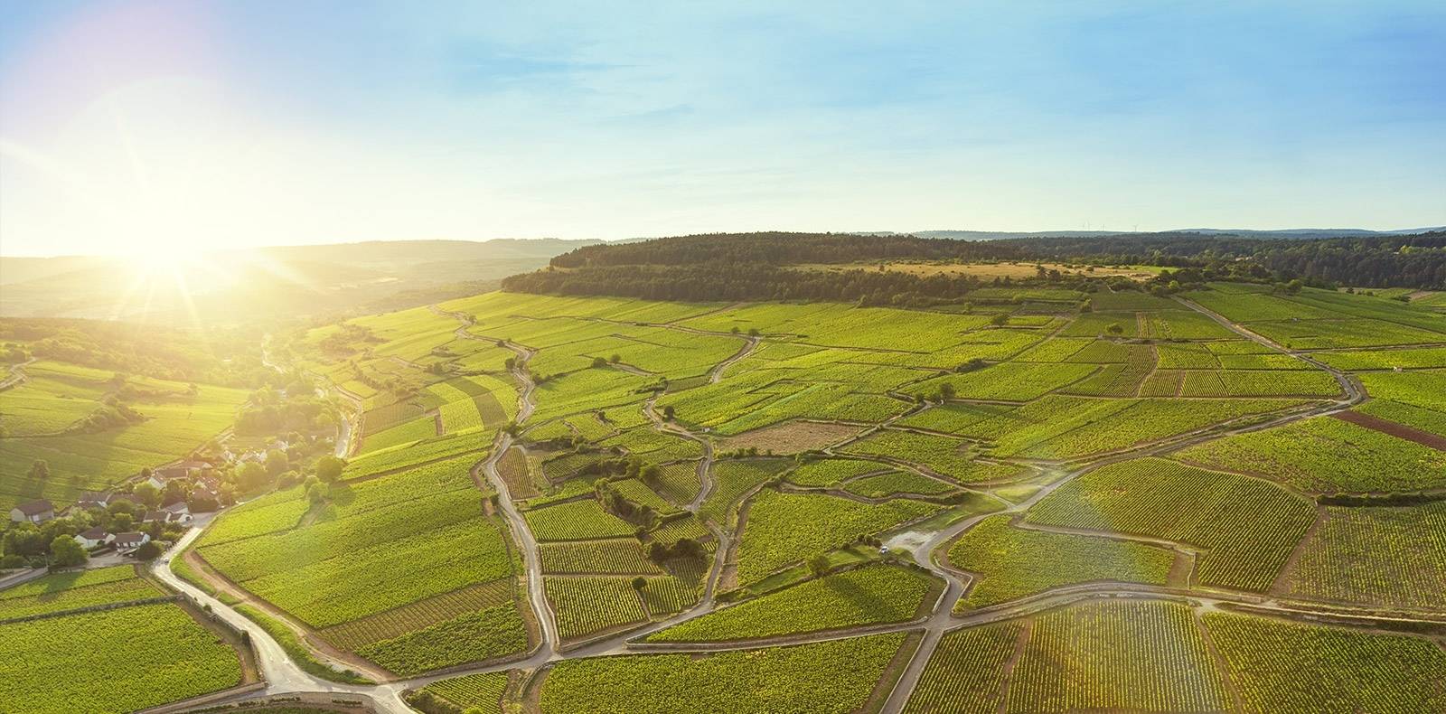 Bourgogne Evasion By Active Tours - Winalist