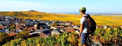 Sacré Wine Tour  - Winalist