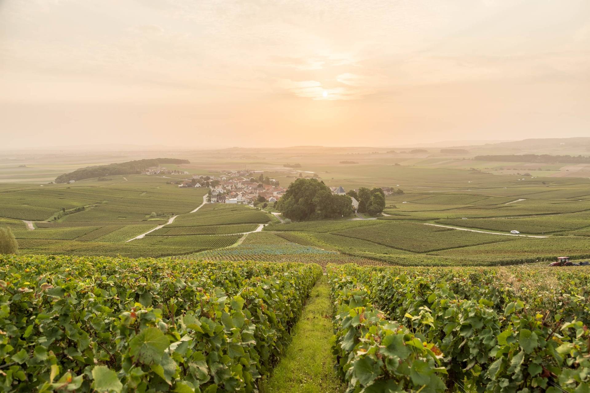 Champagne Louis Brochet - Winalist