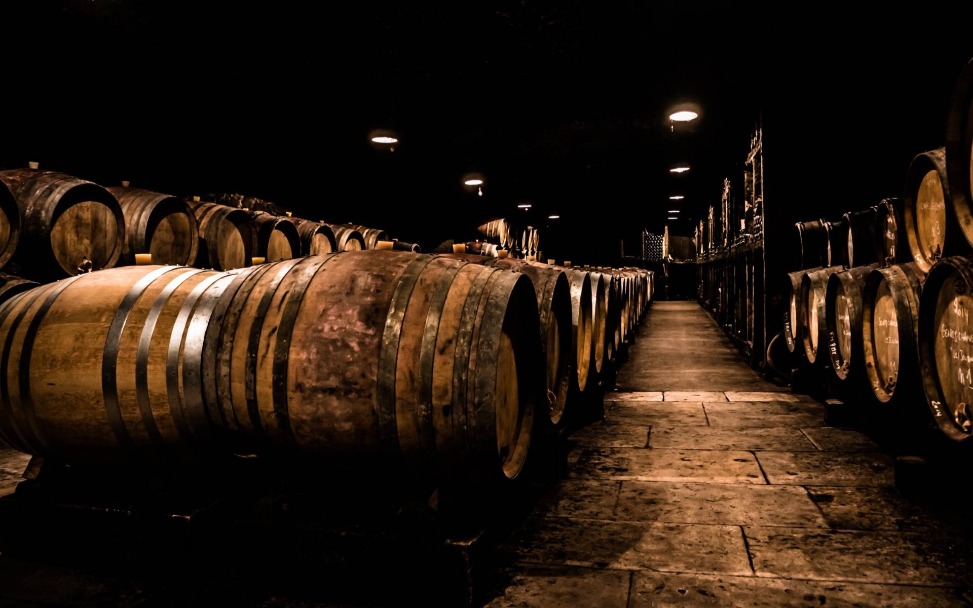 Authentica Tours - Winalist