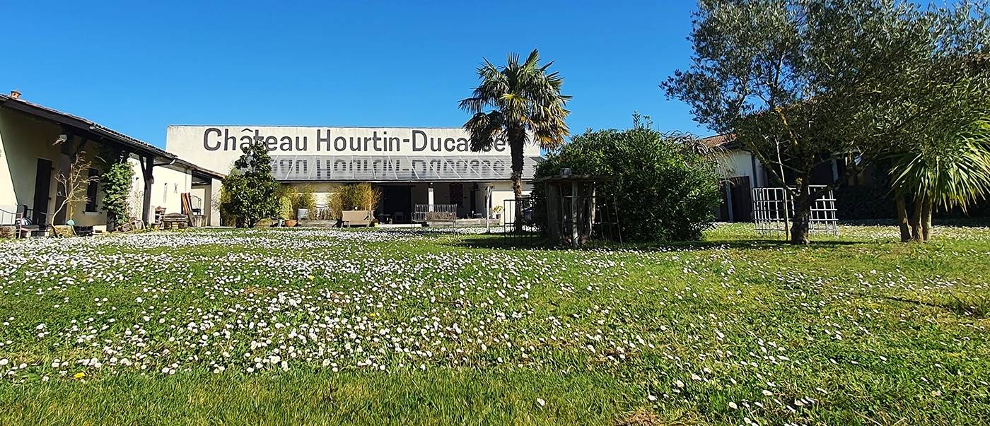 Château Hourtin-Ducasse - Winalist
