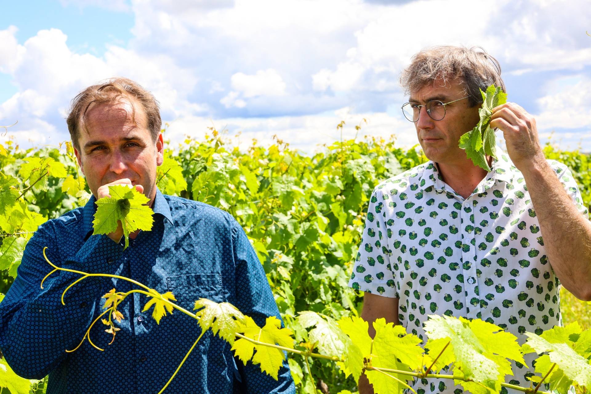 Maison Jamet - Winalist