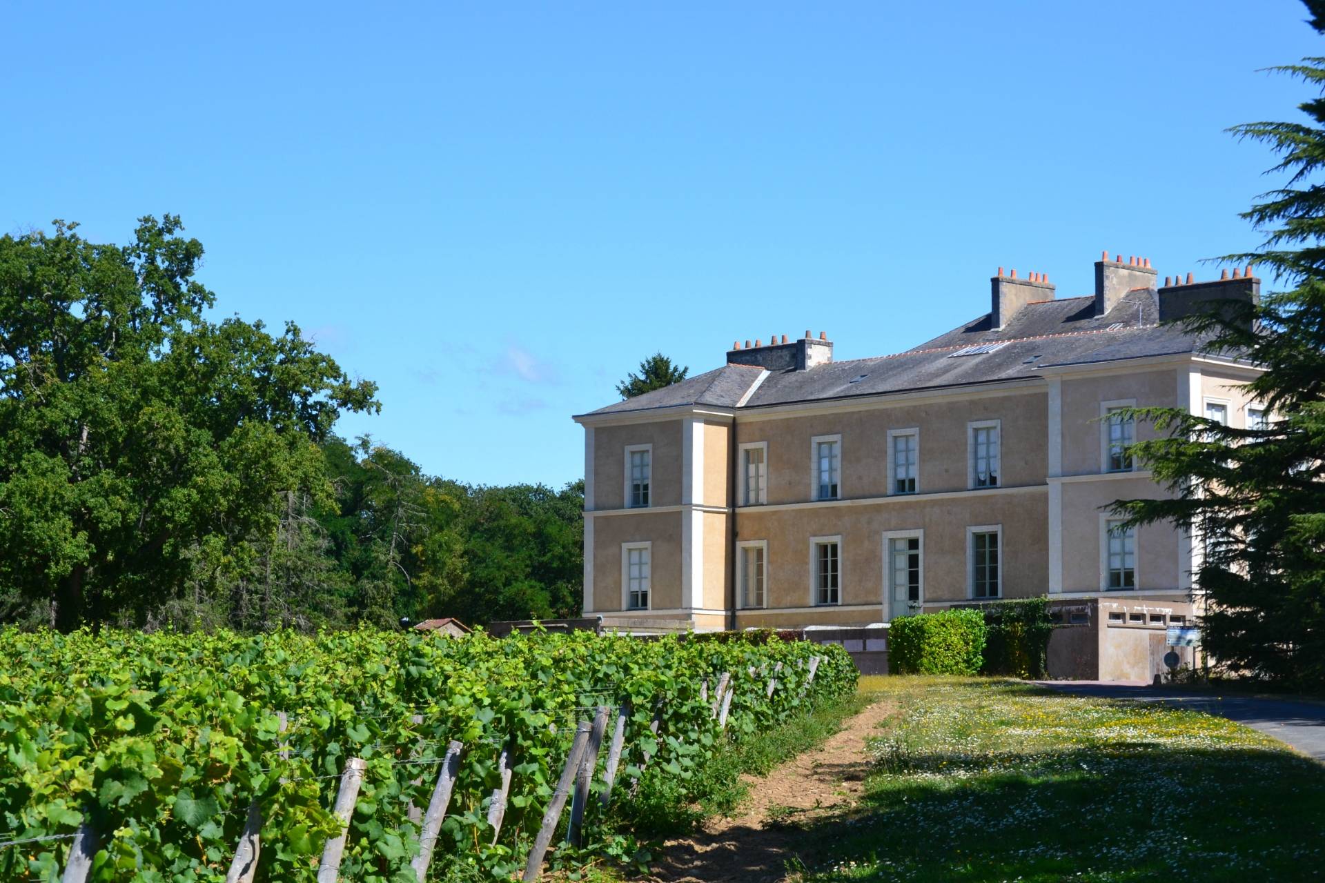 Château Du Cléray - Winalist