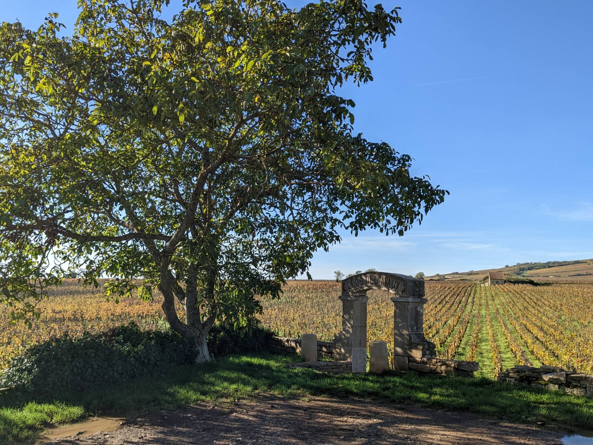 La Terre D'or - Winalist