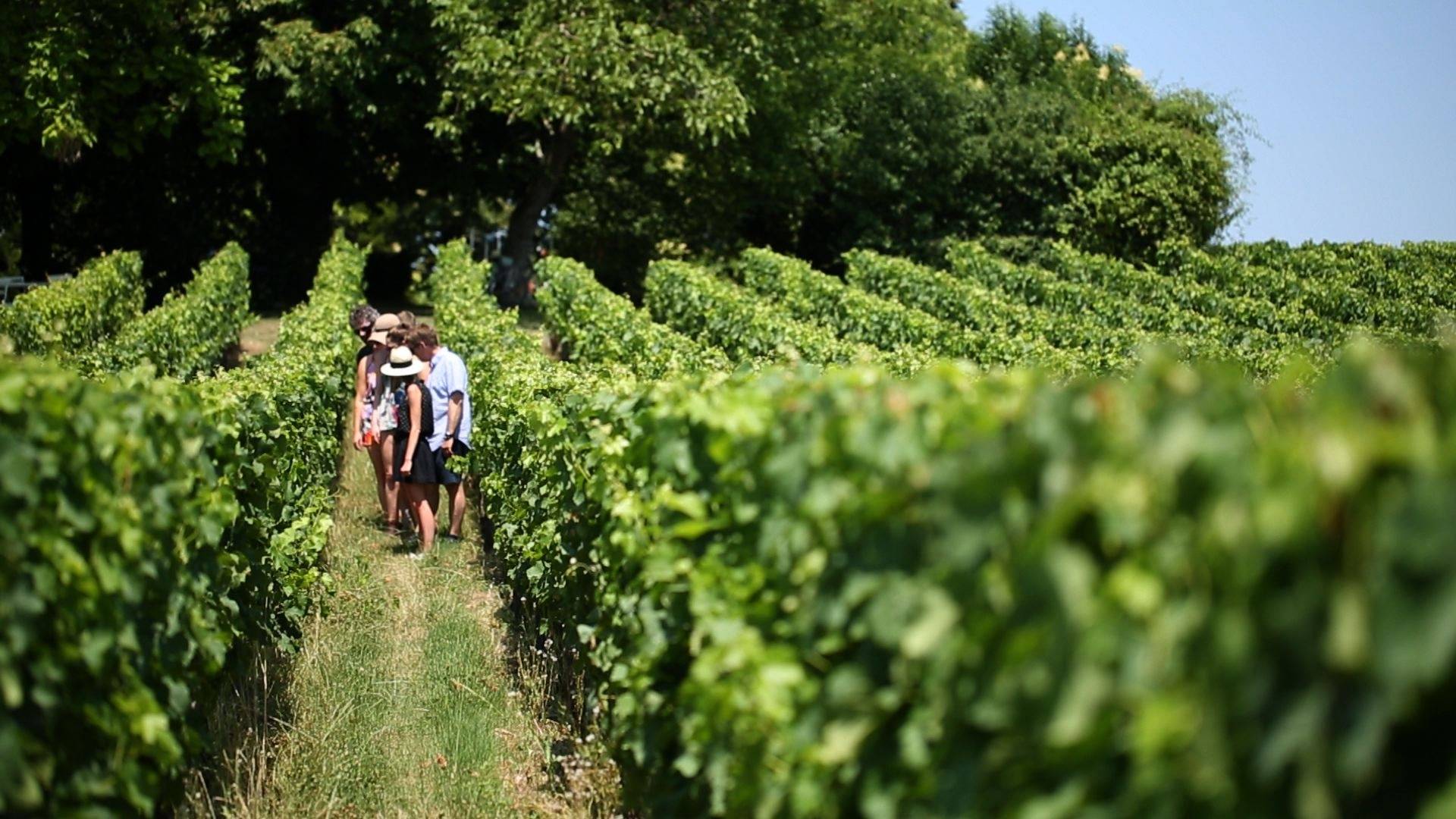 A La Française Bordeaux - Winalist