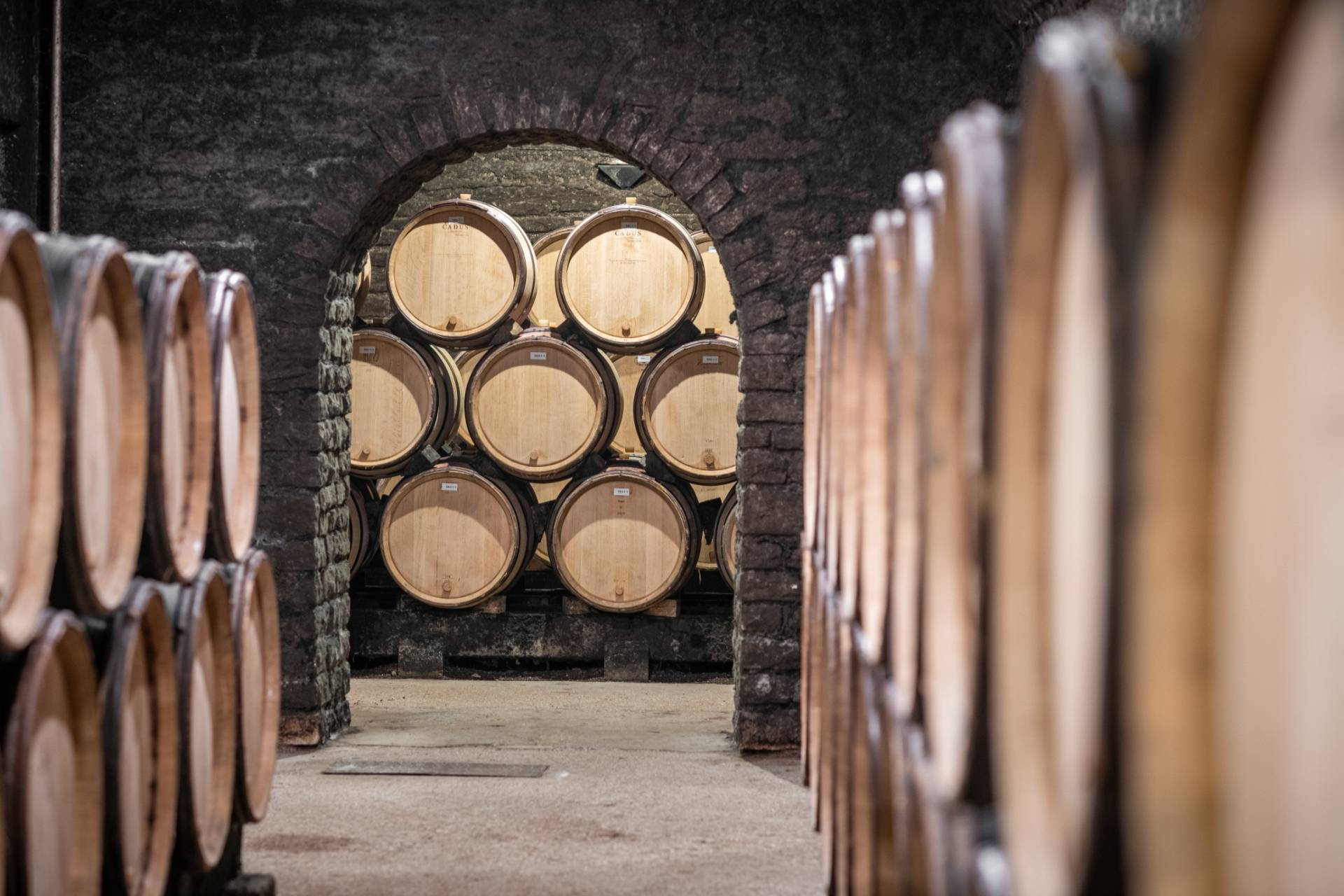 Domaine Marguerite Carillon - Winalist