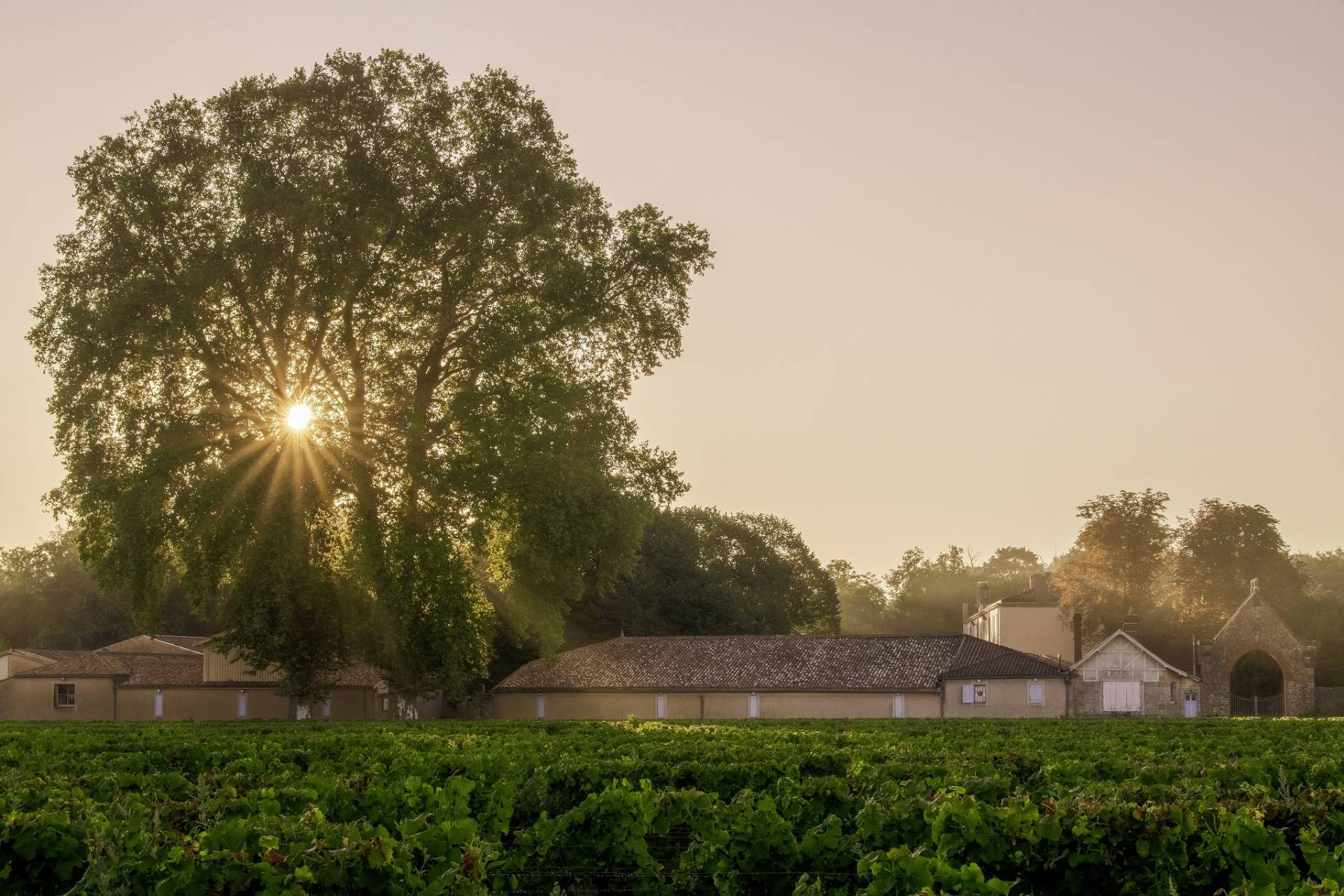 Château Bastor-Lamontagne  - Winalist