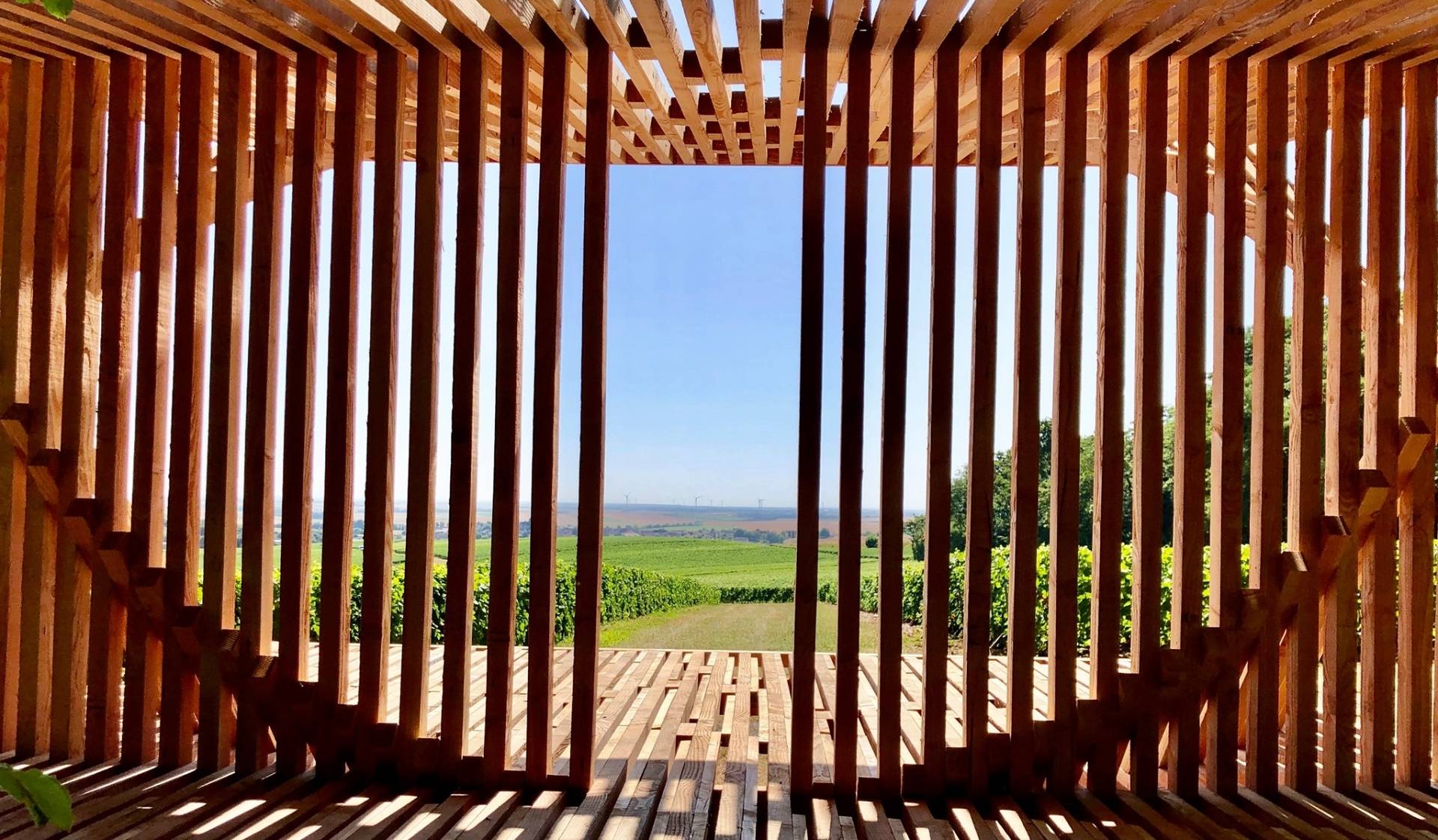 Champagne Prophète & Co - Winalist