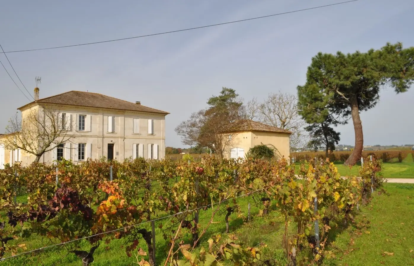 Château Pillebois - Winalist