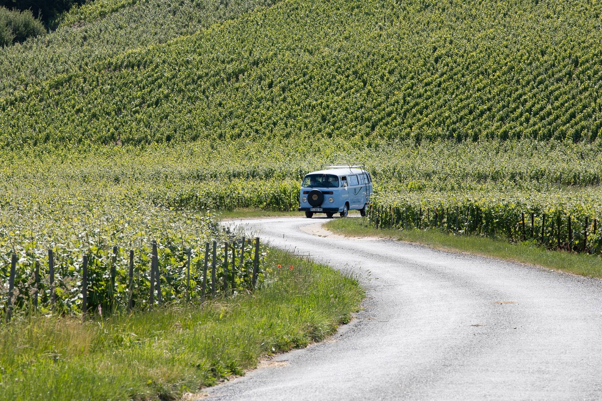 Champagne Lévêque Dehan - Winalist