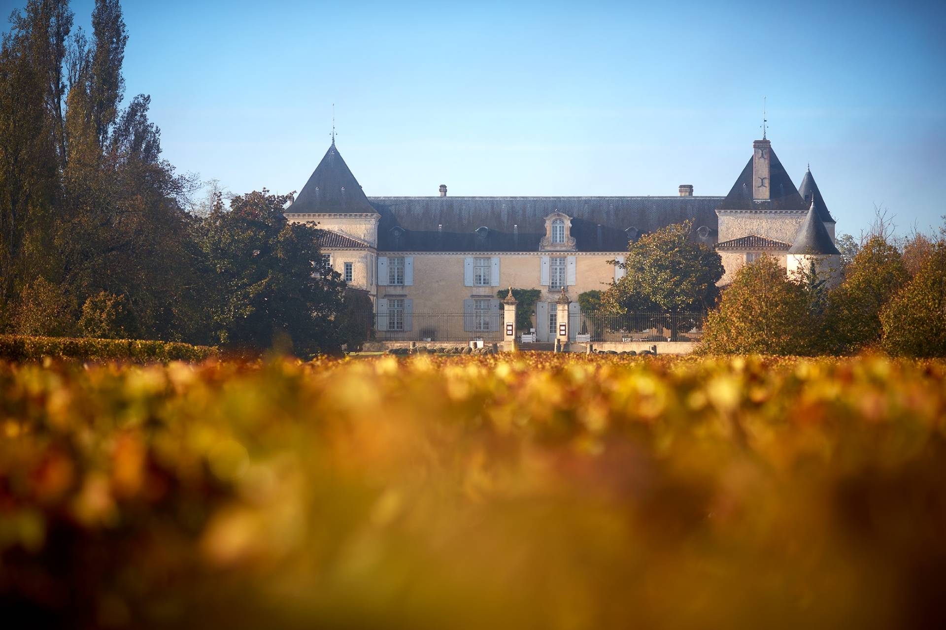Château Suduiraut 1er Cru Classé de Sauternes - Winalist