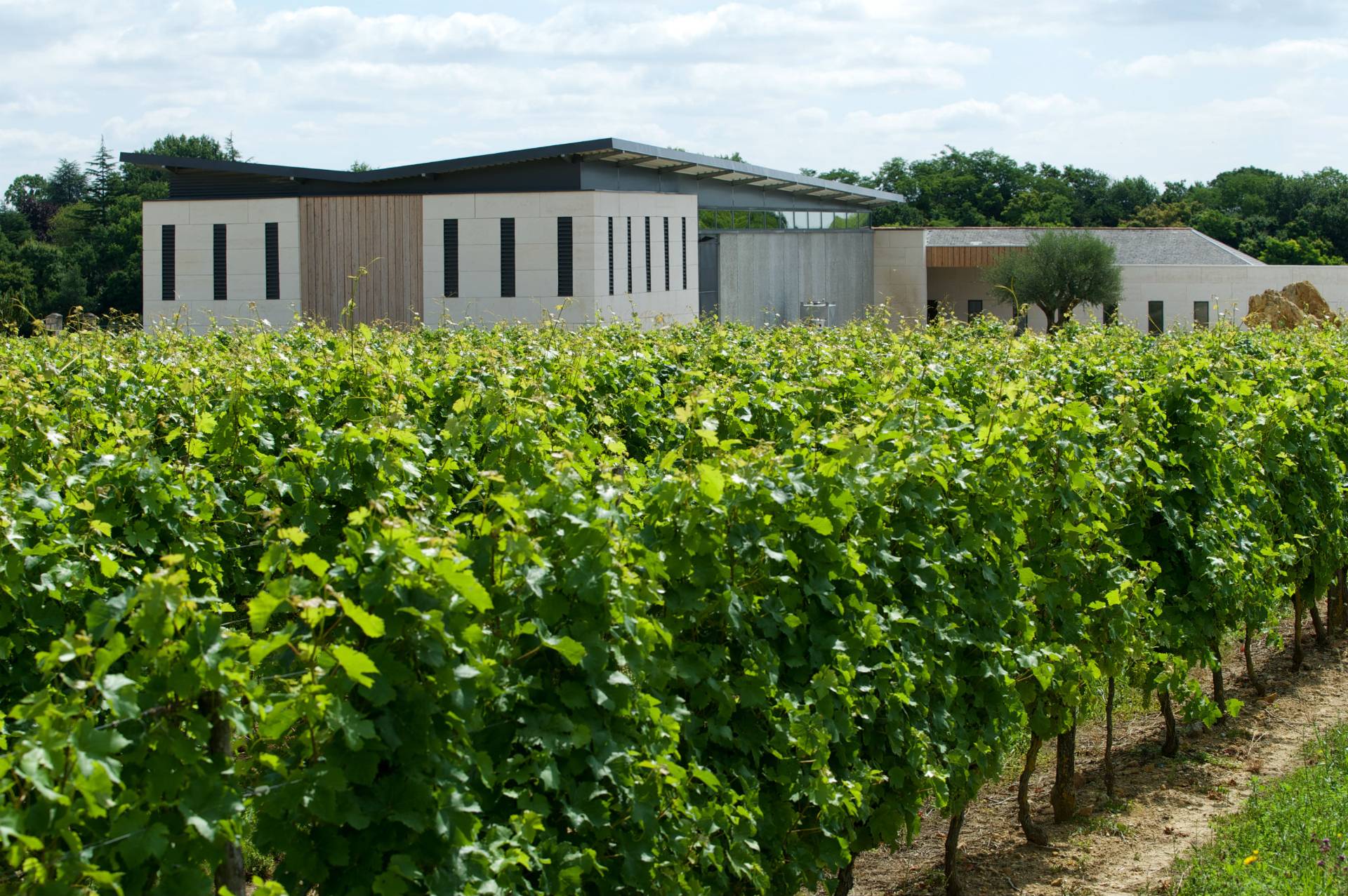 Domaine De Rocheville - Winalist