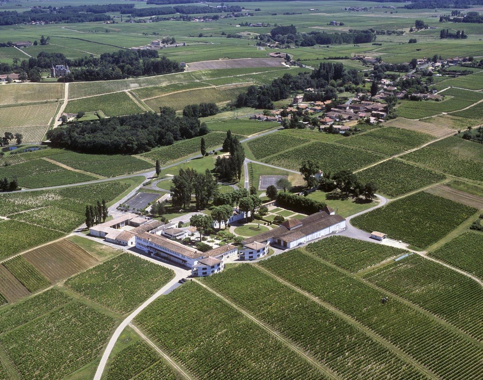 Château La Tour Blanche, Grand Cru Classé - Winalist