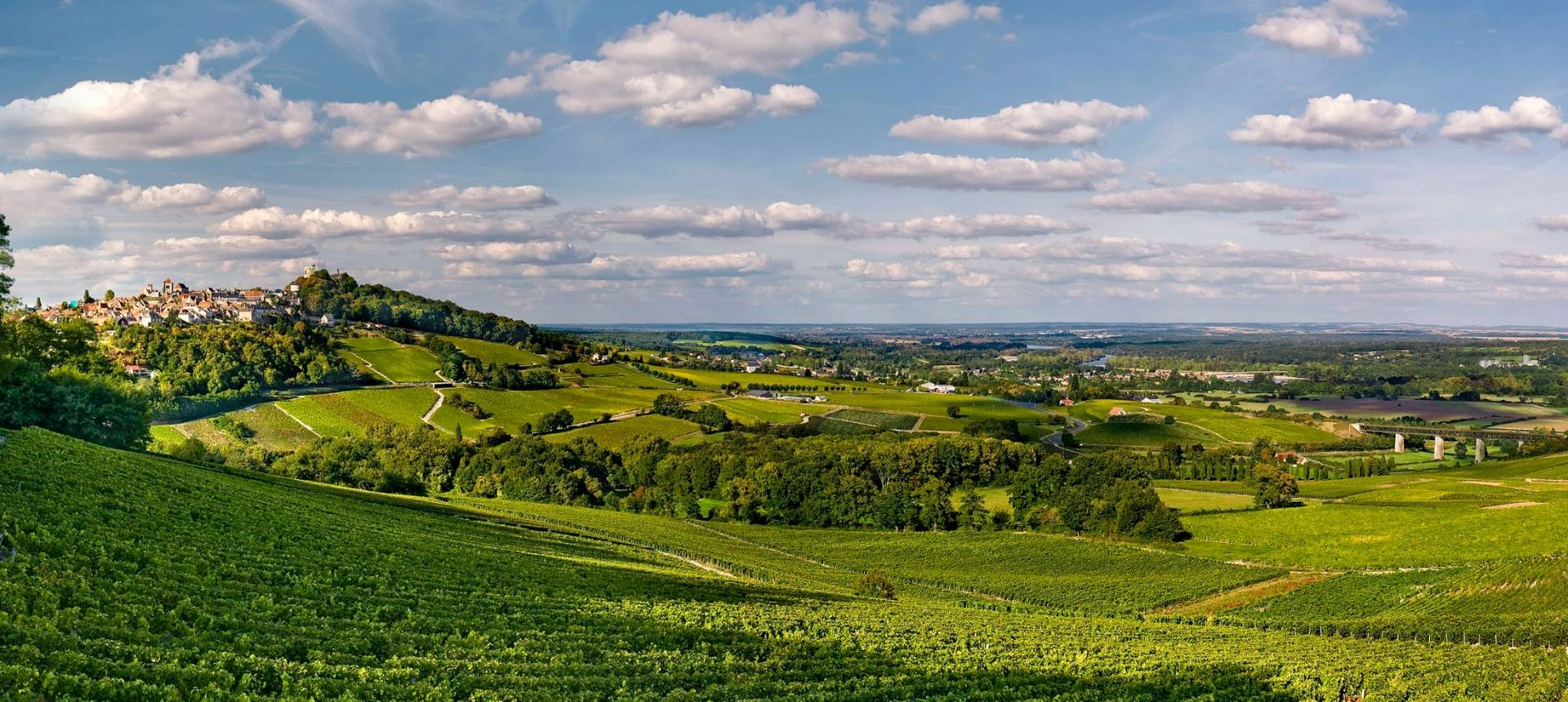 Joseph Mellot - Winalist