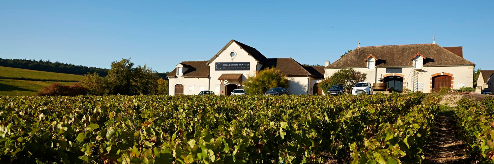 Collection Tramier - Winalist
